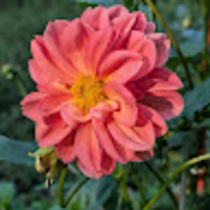 Meet your Posher, Jodi